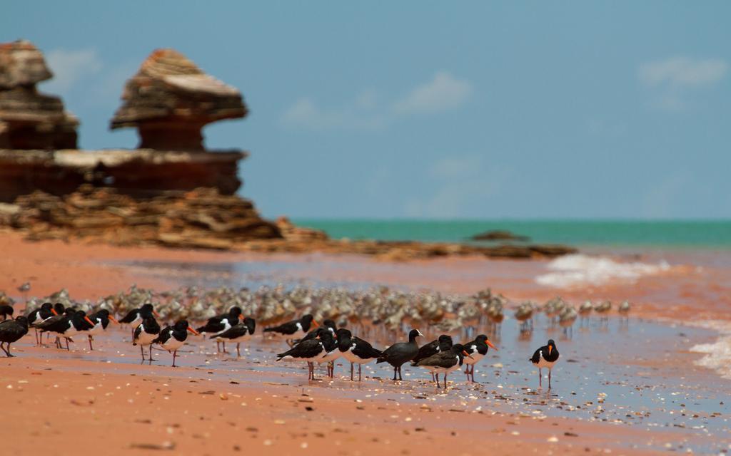 Broome Bird Observatory Екстериор снимка